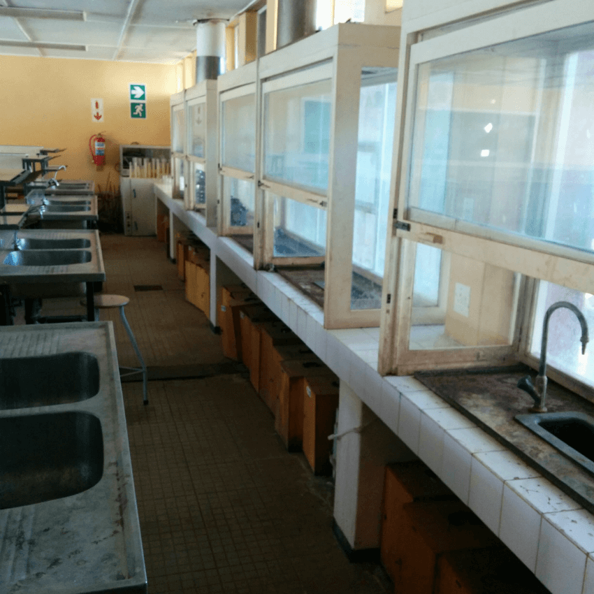 Beryl Labs - Fume Hood Bad Example